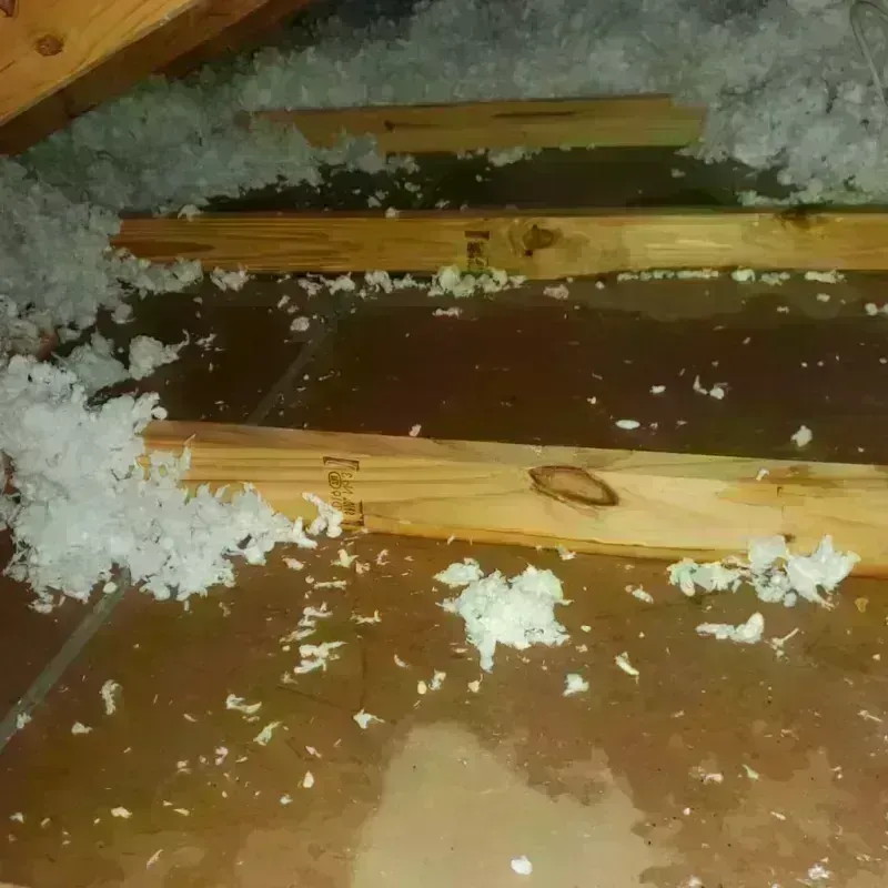 Attic Water Damage in Hickory, NC