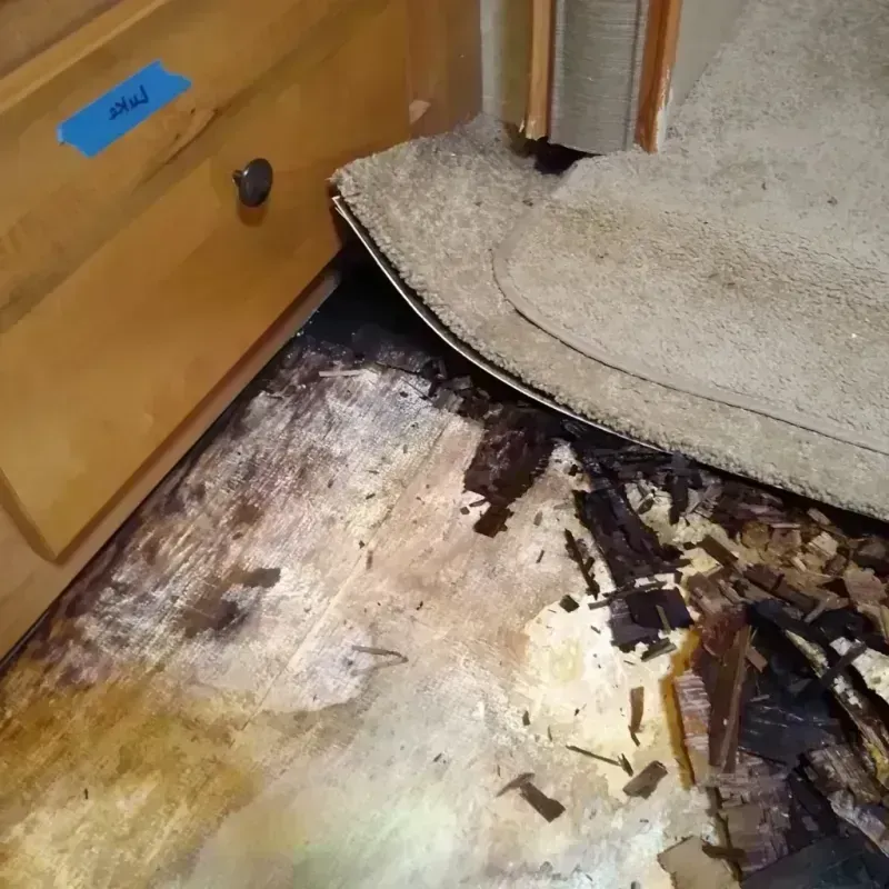 Best Wood Floor Water Damage Service in Hickory, NC